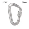silver12kn