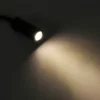 neutral-light