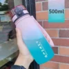 pink-green-500ml