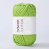 17-fresh-green