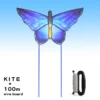 blue-butterfly
