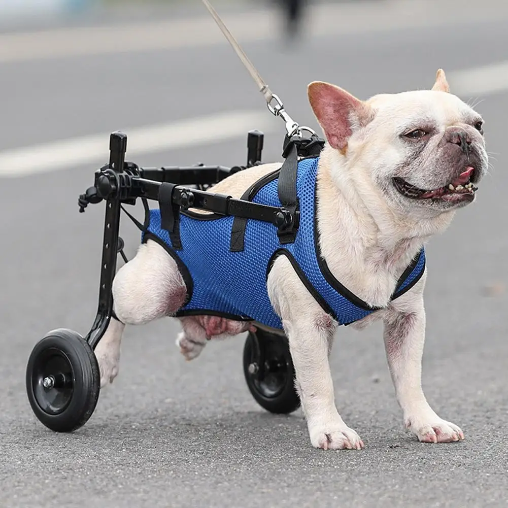 Adjustable Pet Wheelchair 1 Adjustable Pet Wheelchair