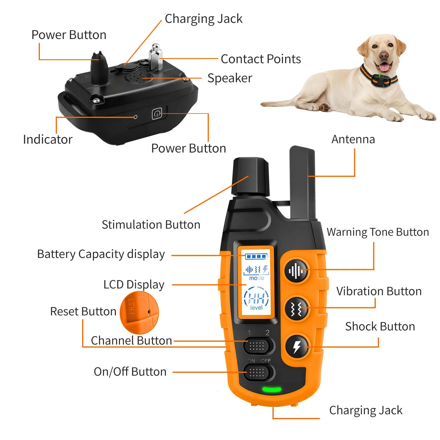 Waterproof Electric Dog Training Collar 6 Waterproof Electric Dog Training Collar - Image 6