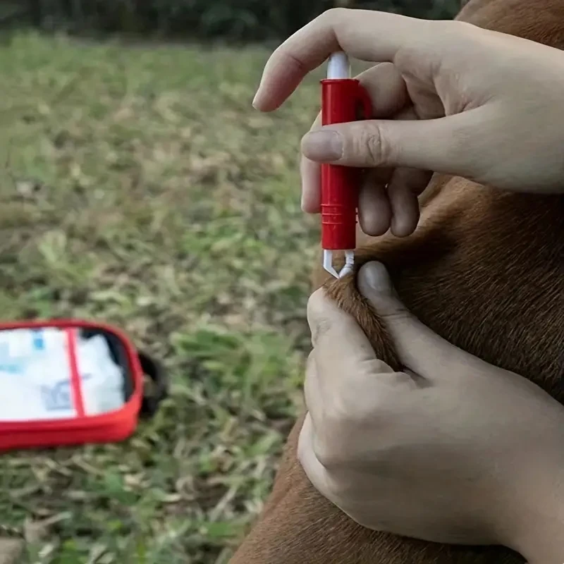 Compact Pet First Aid Kit for Dogs & Cats 5 Compact Pet First Aid Kit for Dogs & Cats - Image 5