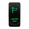 lighted-whip