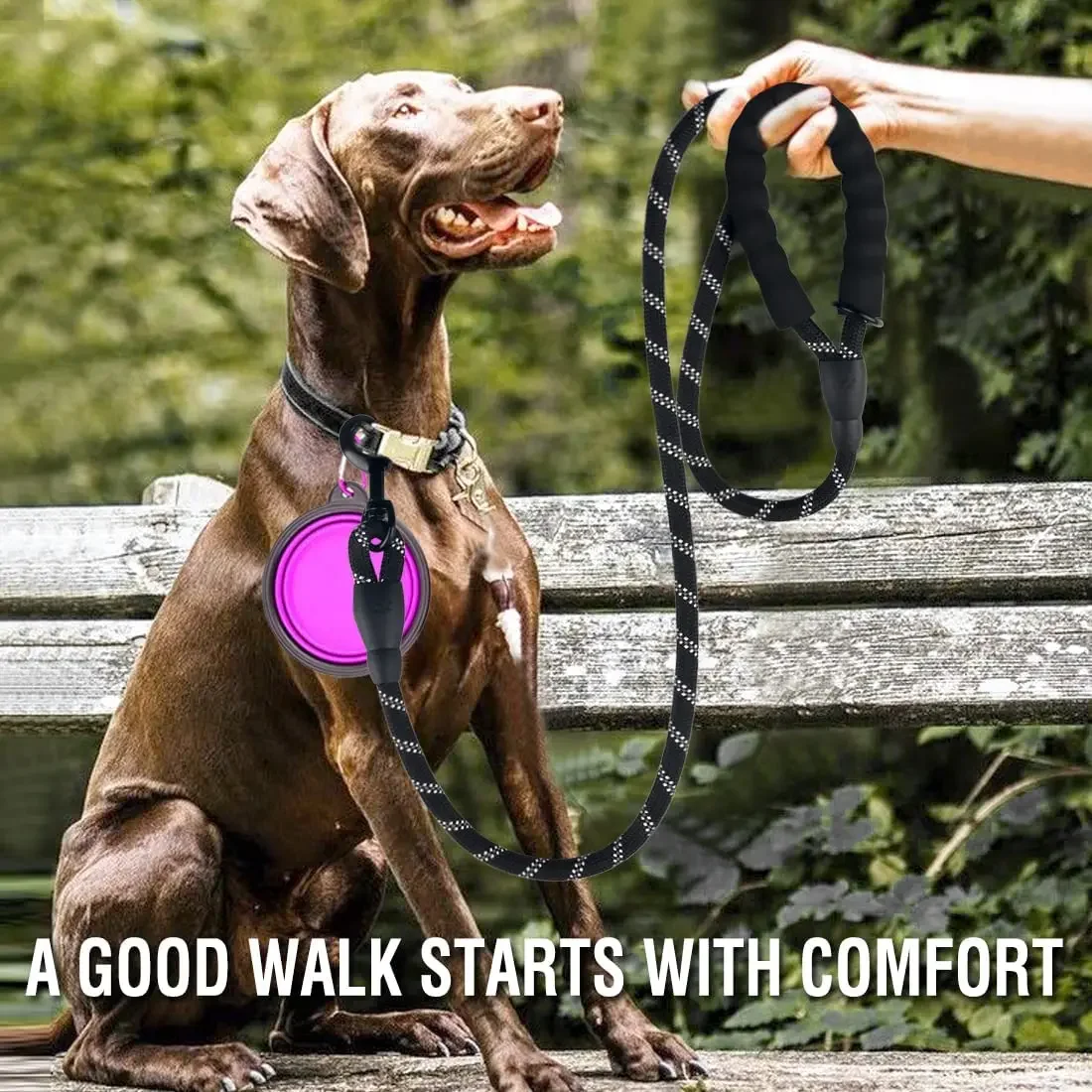 Reflective Breakaway Nylon Dog Leash 5 Reflective Breakaway Nylon Dog Leash - Image 5