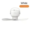 white-2400mah